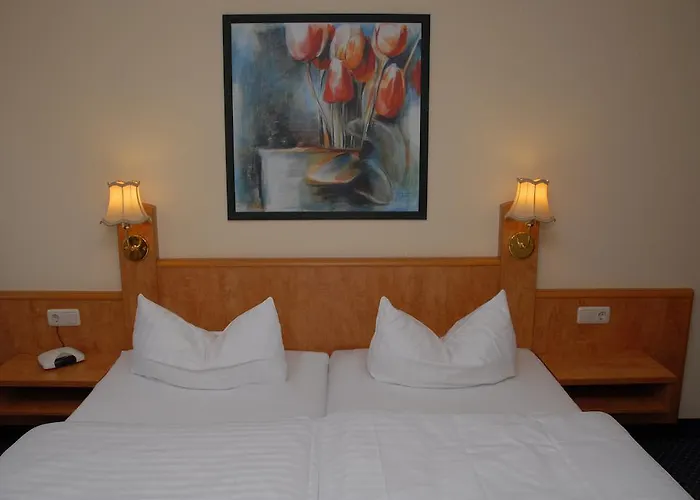 Otel Alte Schule 3*